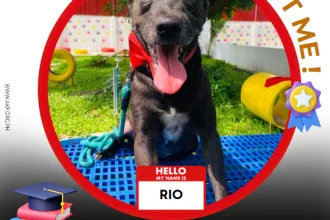 RIO