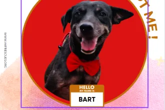 BART image 0
