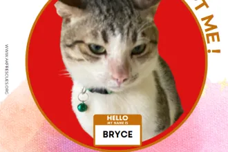 BRYCE-CAT