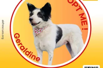 Geraldine image 0