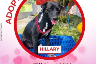 HILLARY