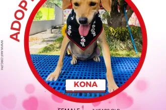 KONA