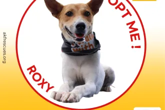 ROXY