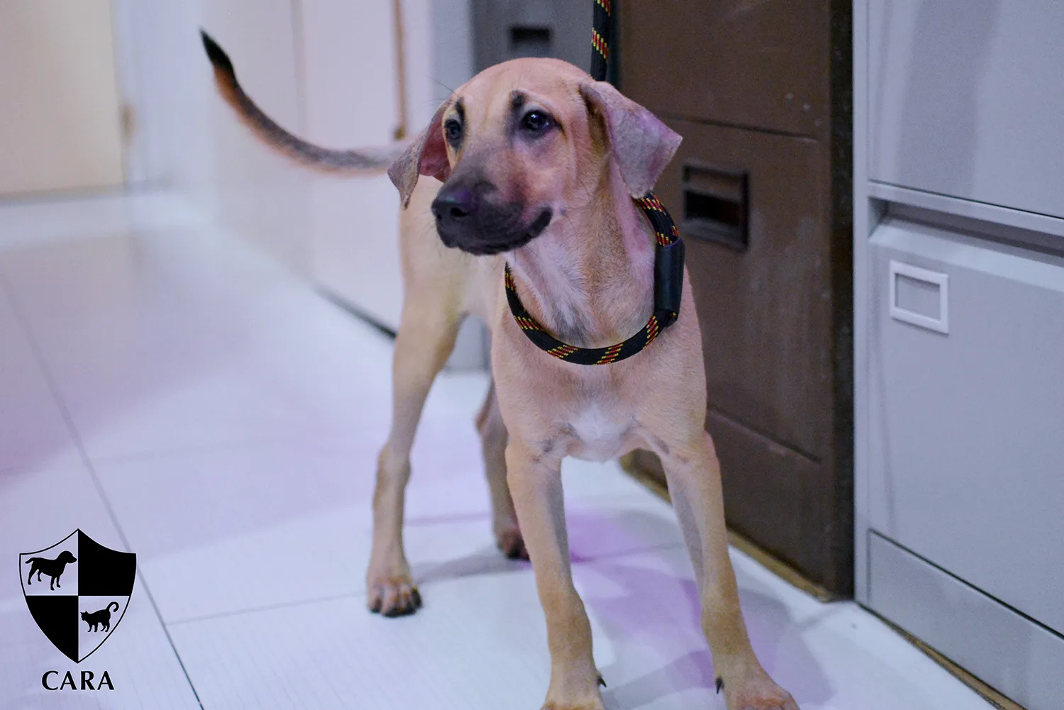 MAX image 0