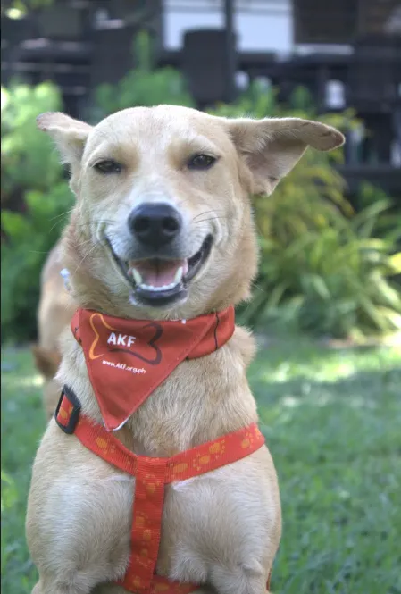 Inggrid - GLORIETTA image 0