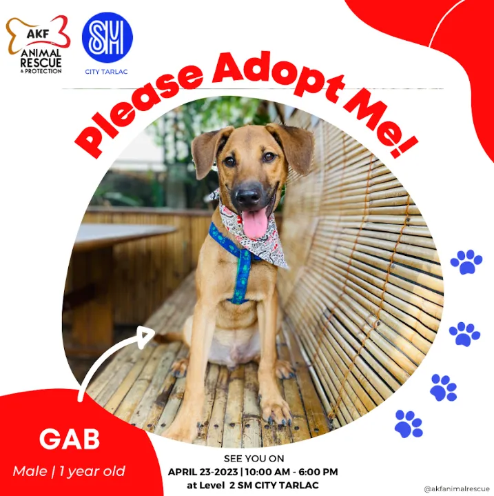 GAB