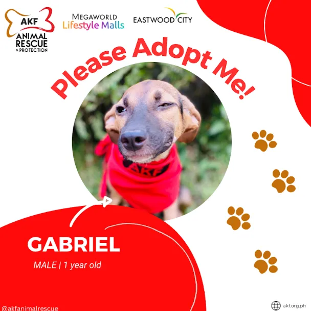 Gabriel