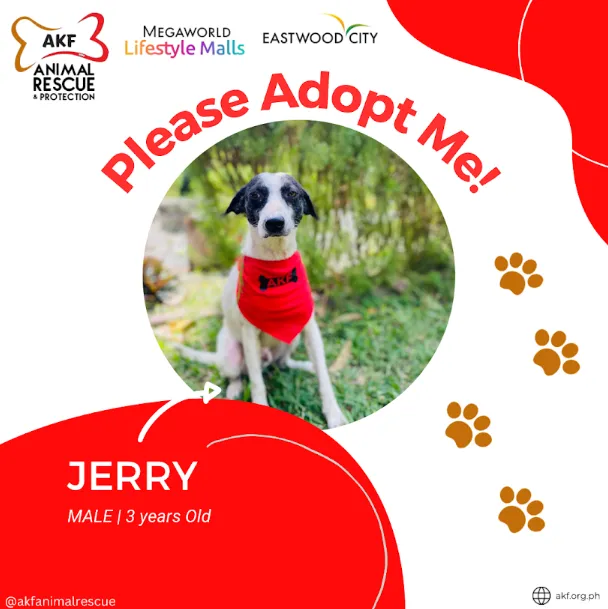 Jerry