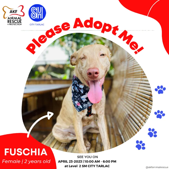 FUSCHIA