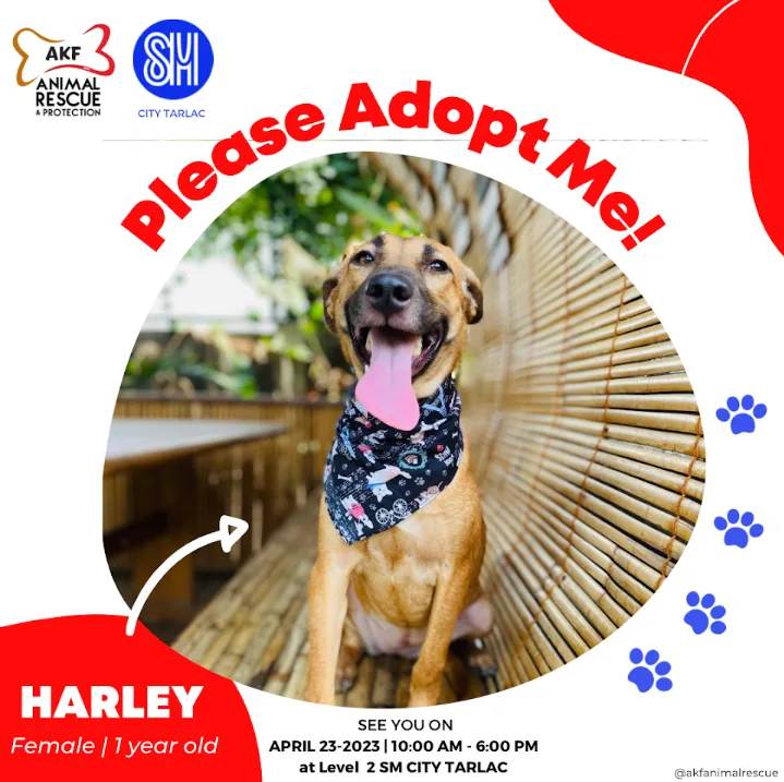 HARLEY