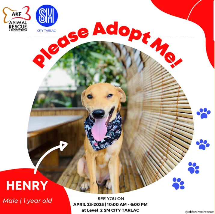 HENRY  image 0