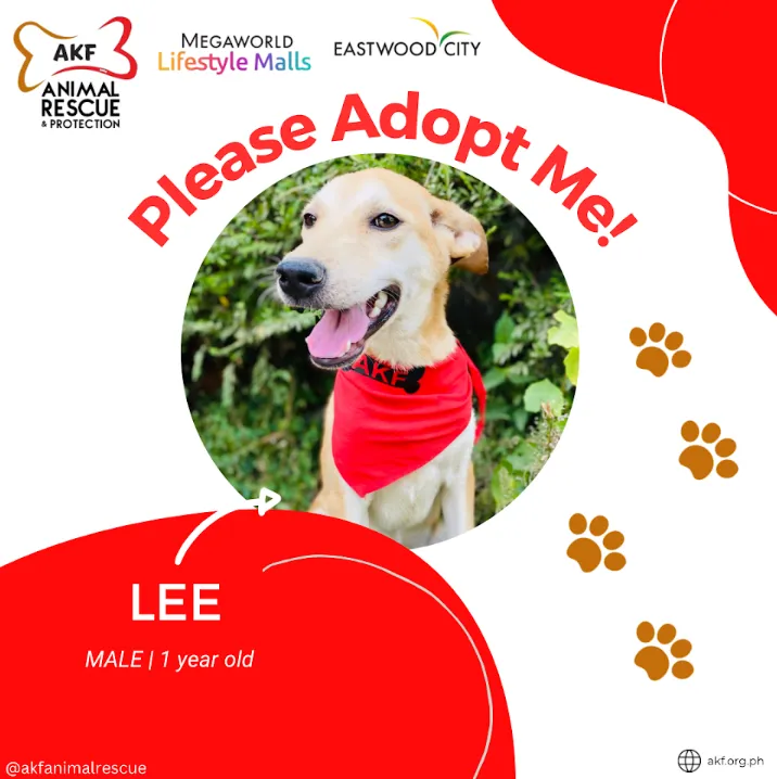 Lee