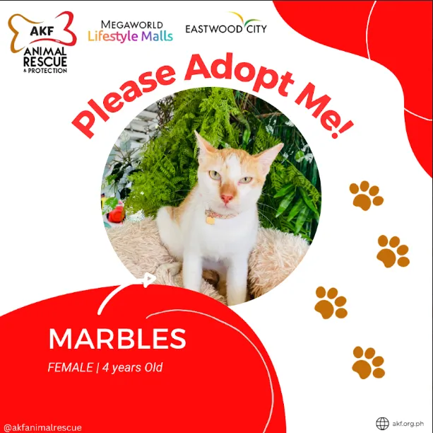 Marbles