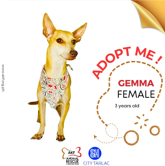 GEMMA image 0