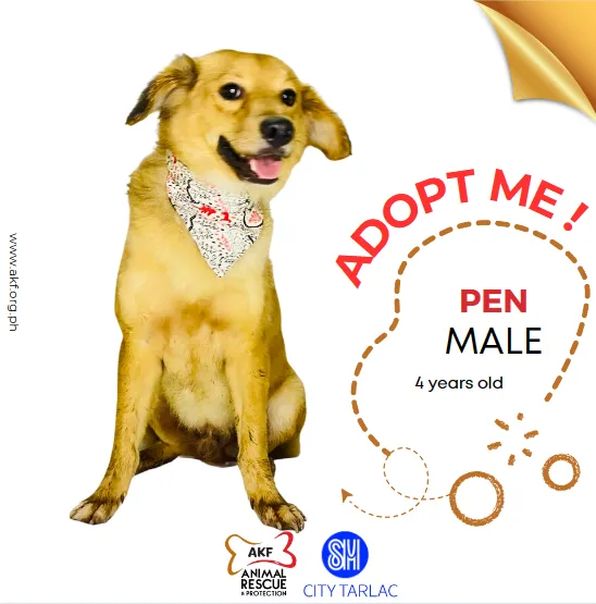 PEN
