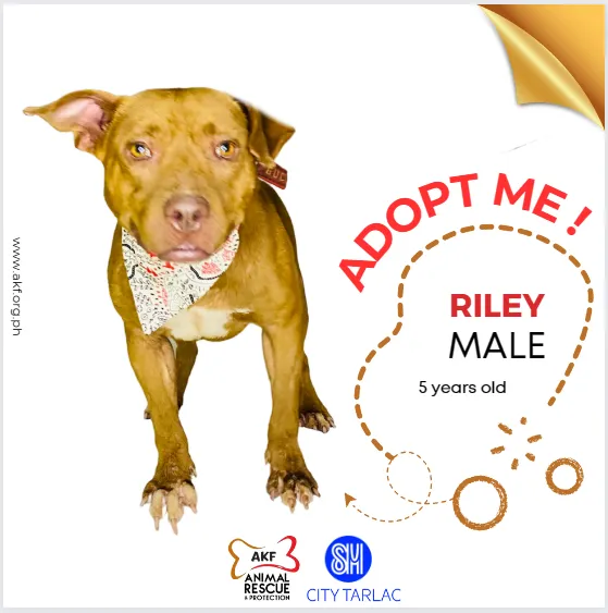 RILEY