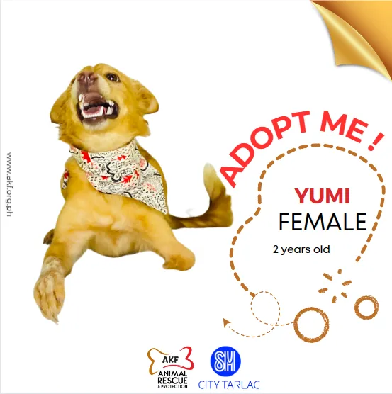 YUMI
