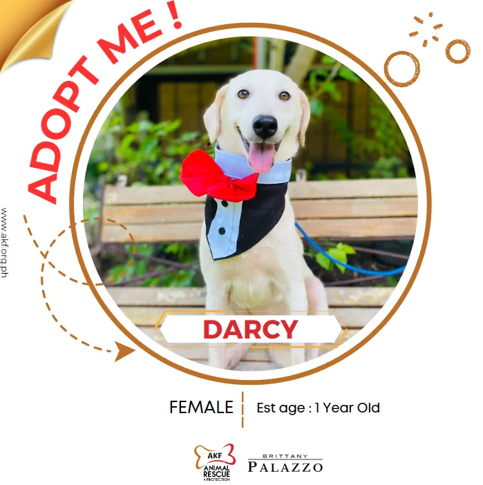 DARCY
