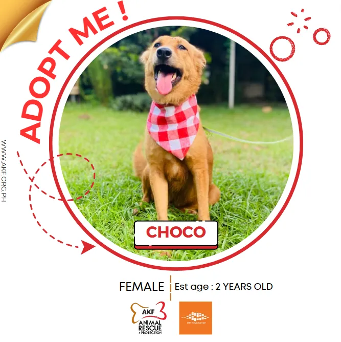 CHOCO