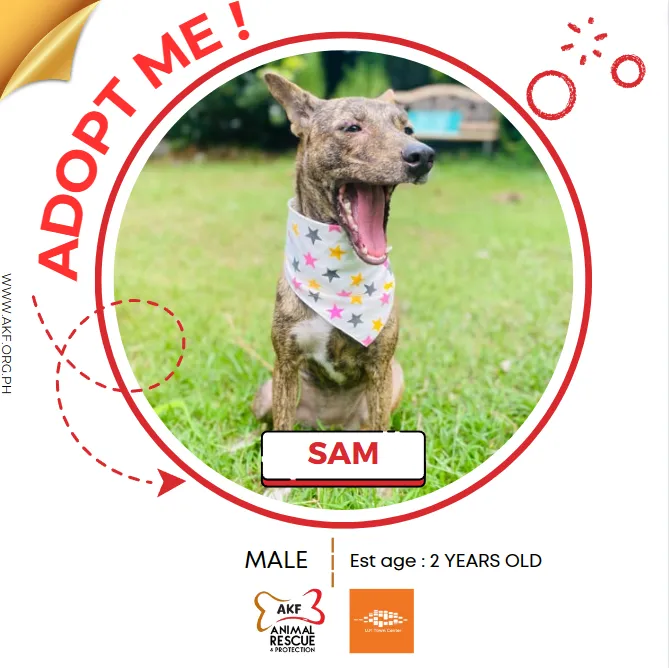 SAM