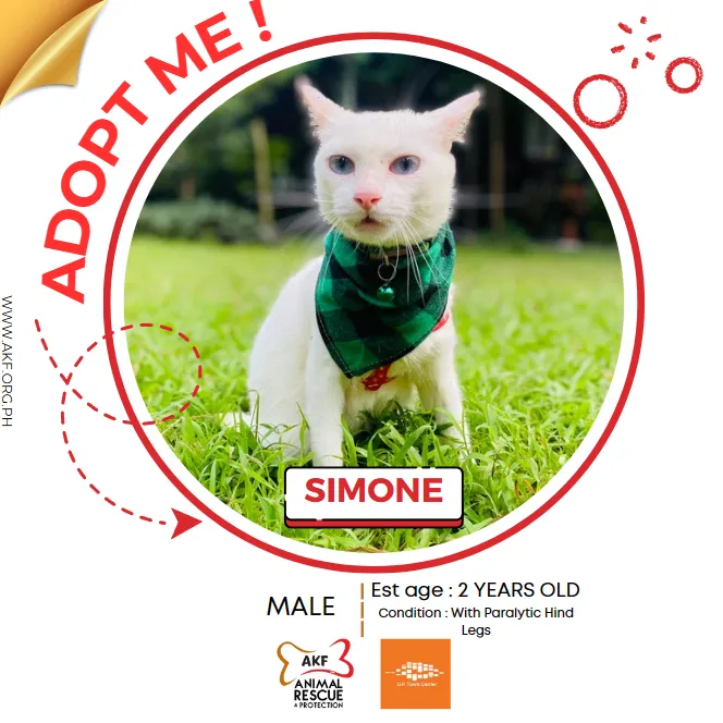 SIMONE