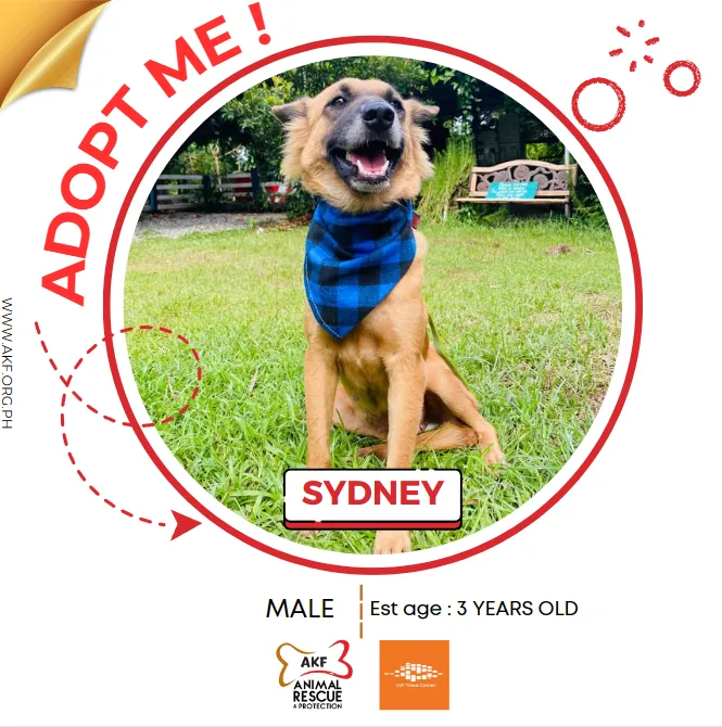 Sydney