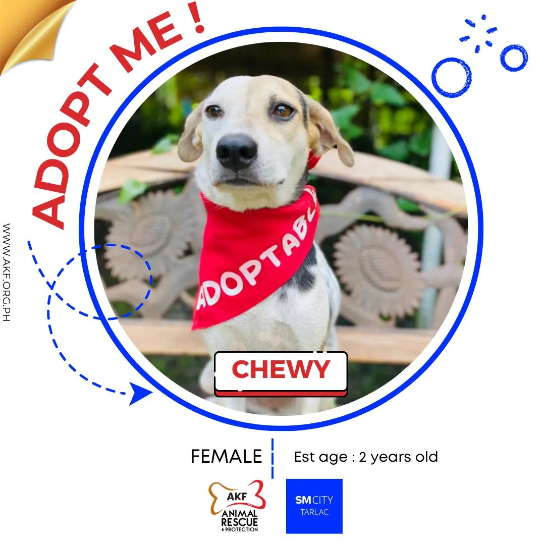 CHEWY image 0