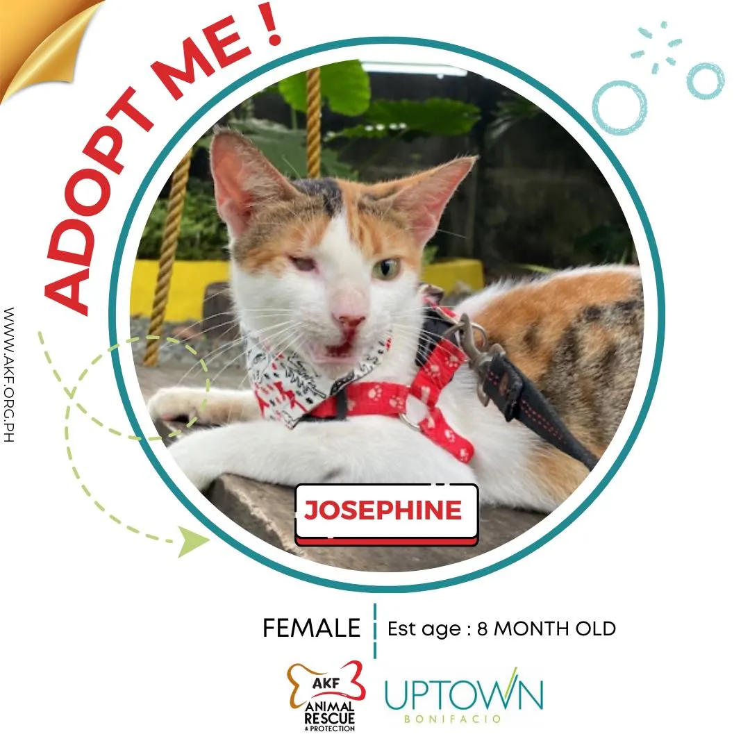 JOSEPHINE image 0