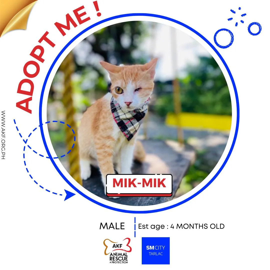 MIK-MIK image 0