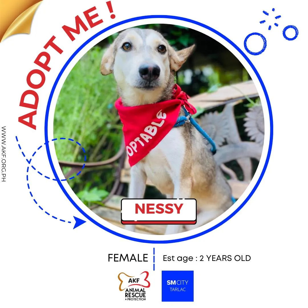NESSY image 0