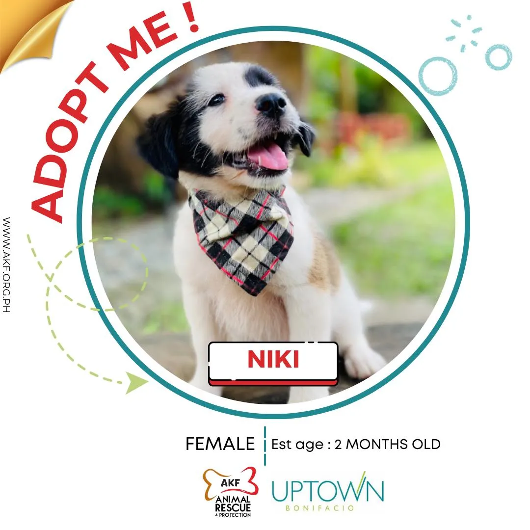 NIKI image 0
