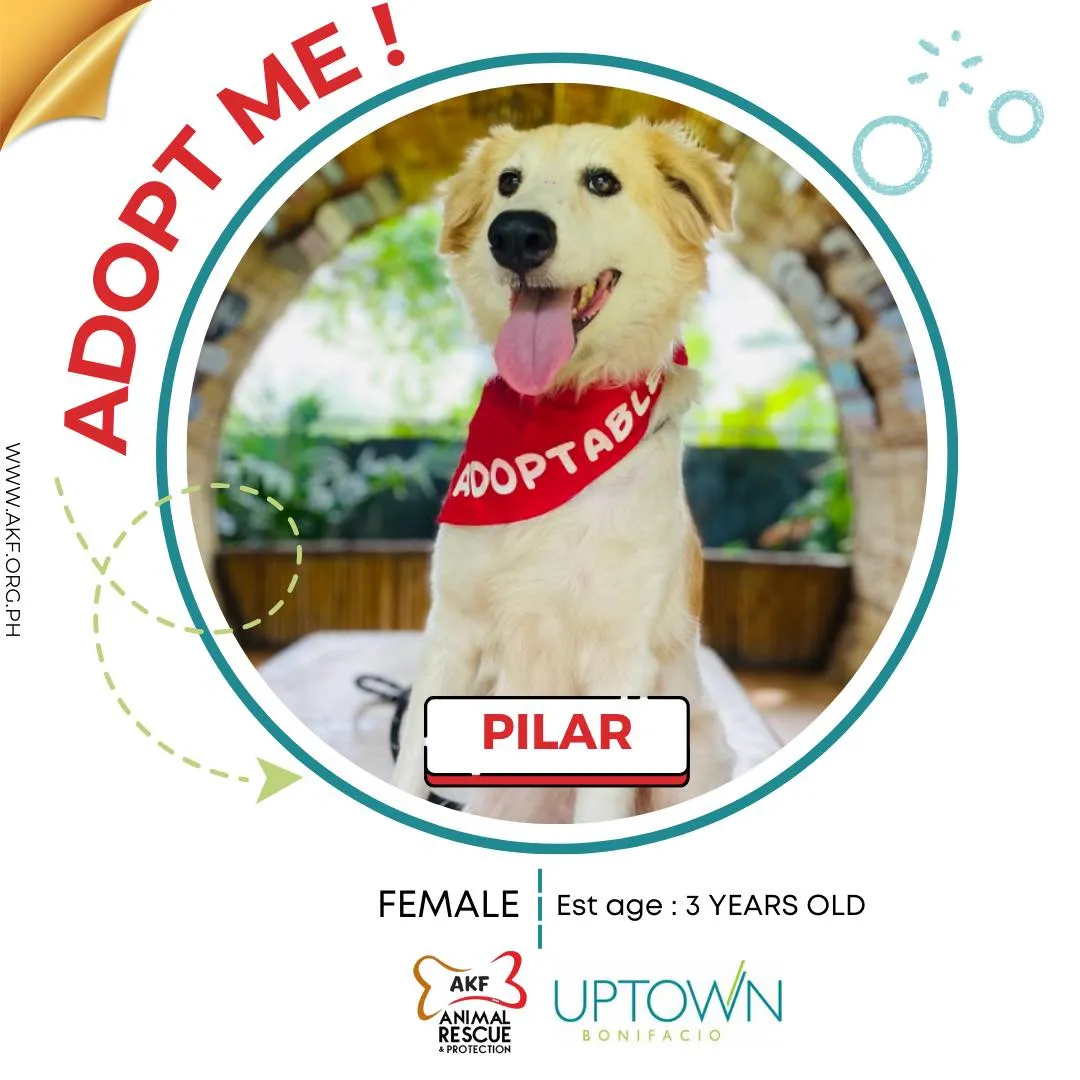 PILAR image 0