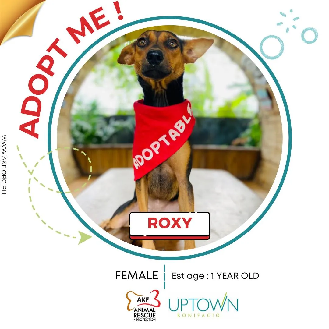 ROXY image 0