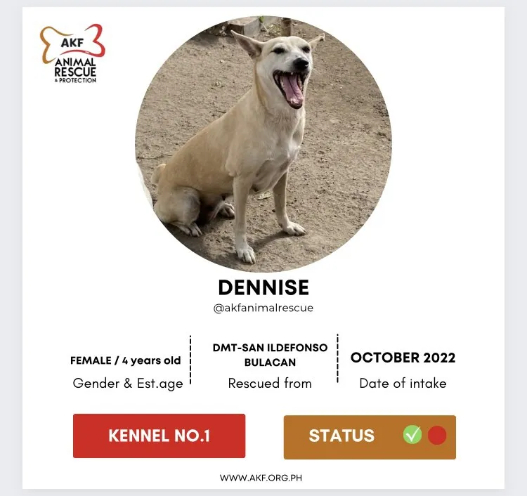 Dennise image 0
