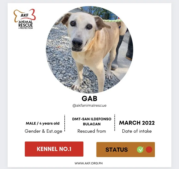 Gab image 0