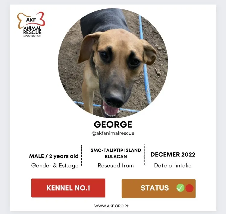 George image 0