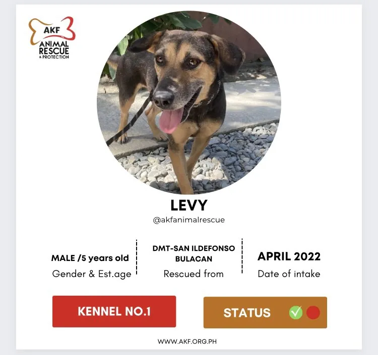 Levy image 0