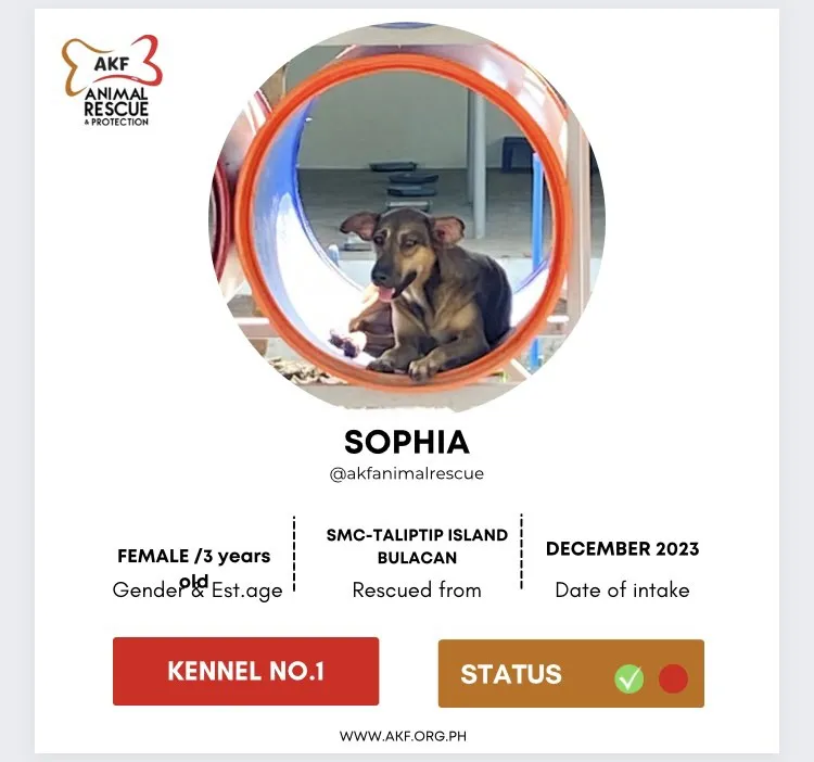 Sophia image 0