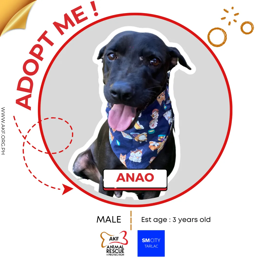 Anao image 0