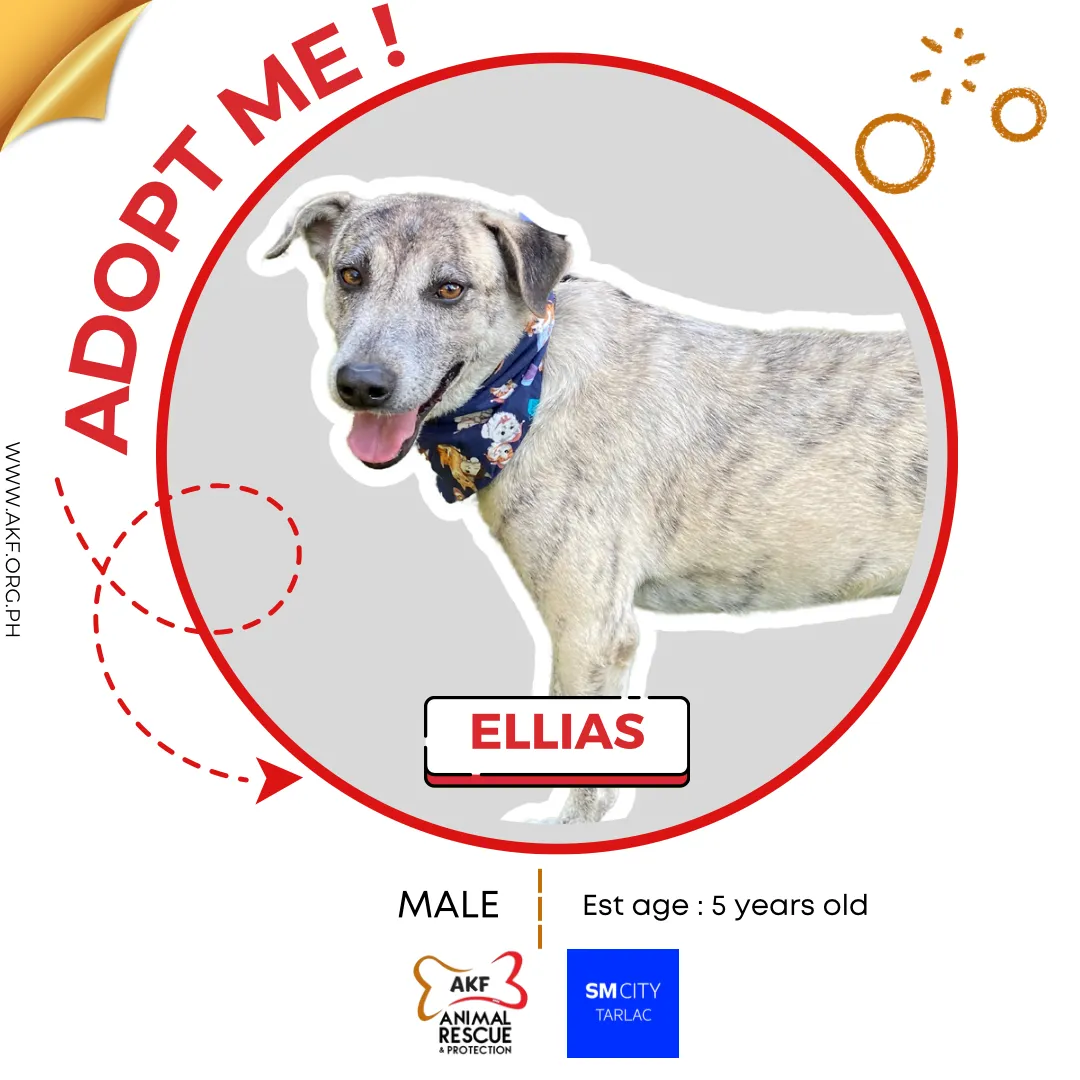 Ellias image 0