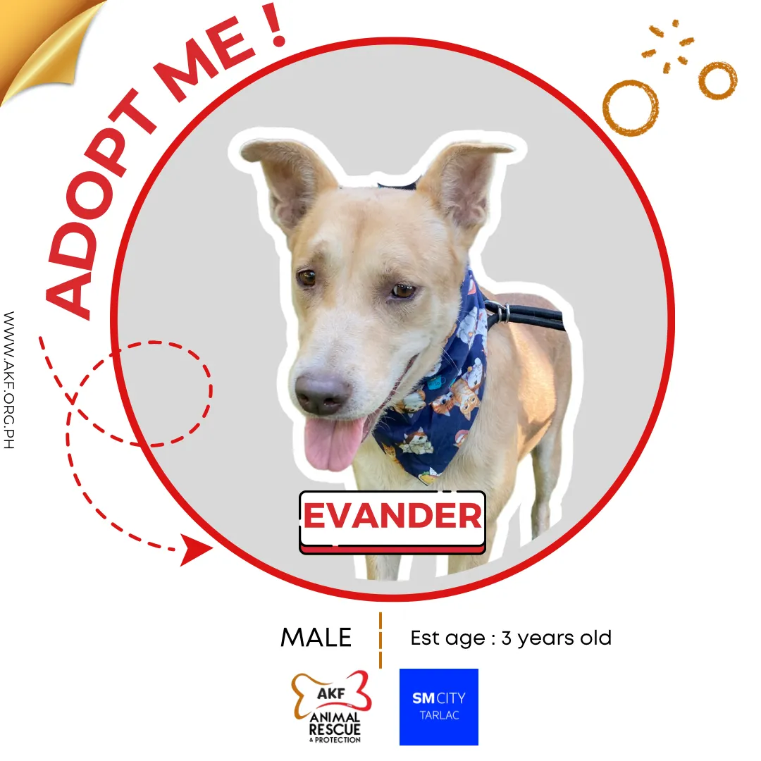 Evander image 0