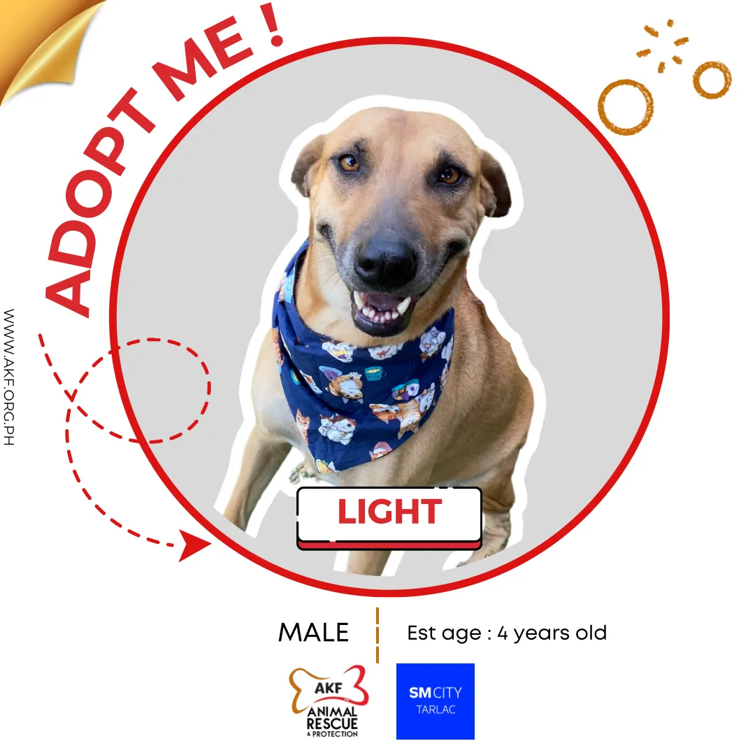 Light image 0