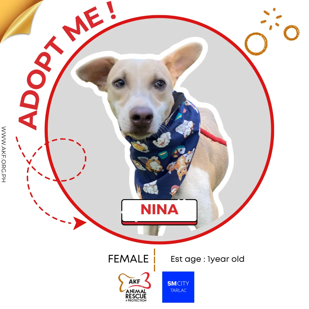 Niña image 0