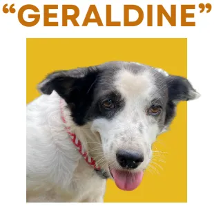 GERALDINE