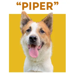 PIPER