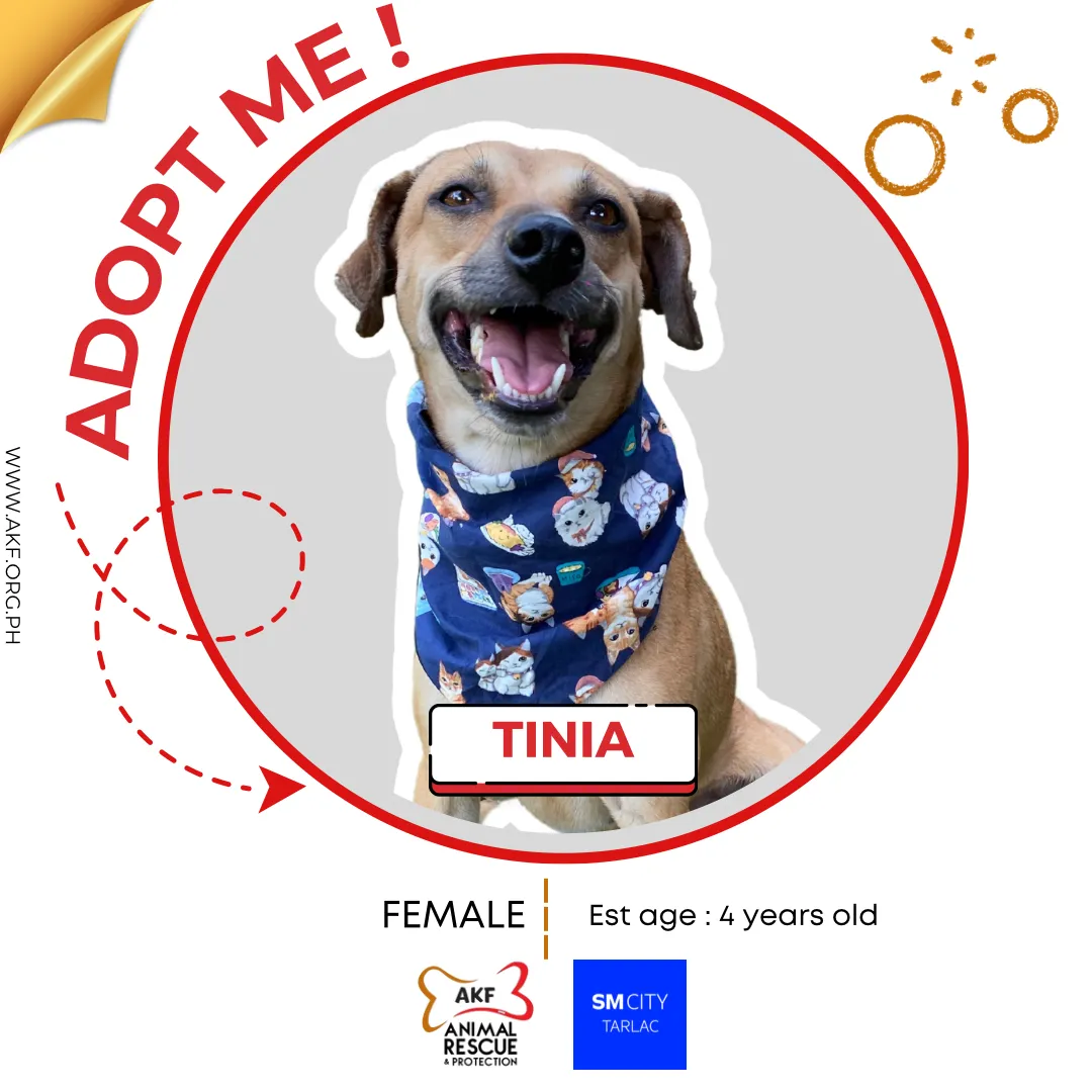 Tinia image 0