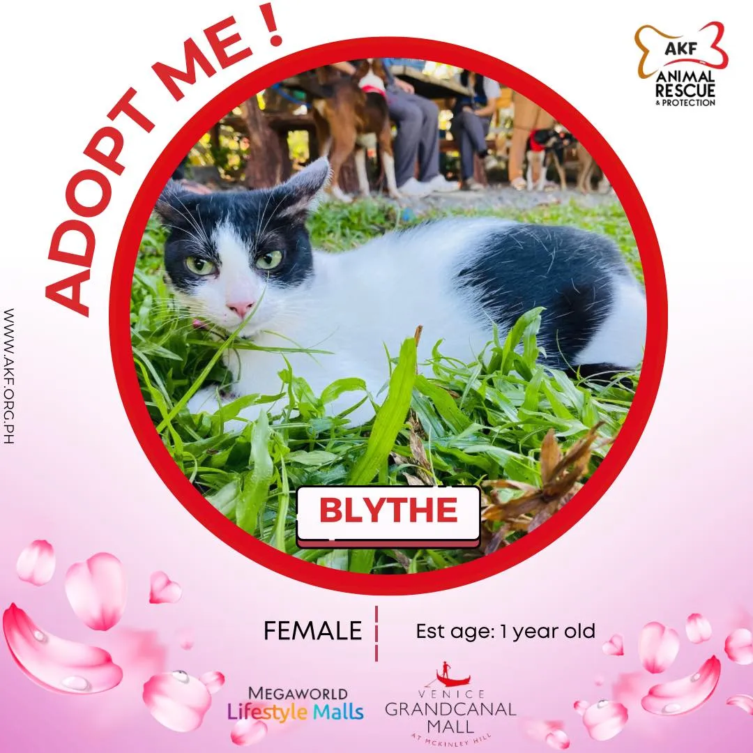 Blythe image 0