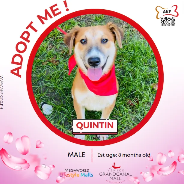QUINTIN