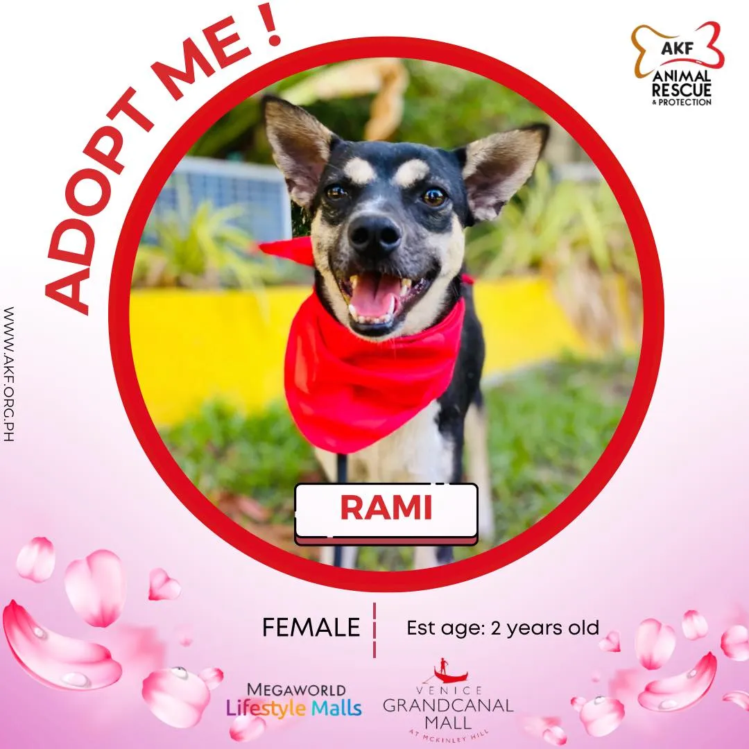 RAMI image 0