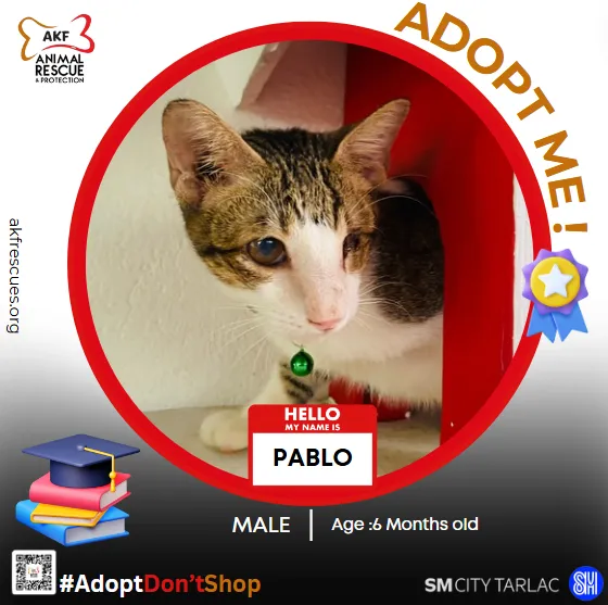 PABLO